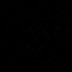 Meet your Posher, Bailey